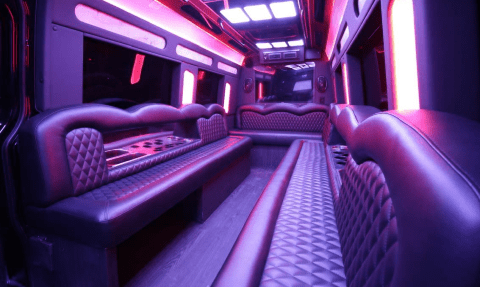 Lafayette 14 Passenger Sprinter Bus Interior
